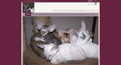 Desktop Screenshot of karismacattery.com